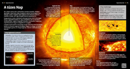 The Blazing Sun
