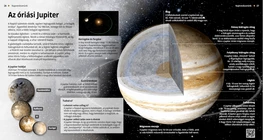 Giove, il gigante