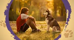 Peut-on comprendre le langage des animaux ?