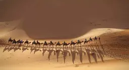 Voeg je bij de karavaan!