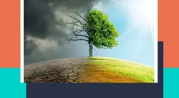 Waarom is het weer grillig?