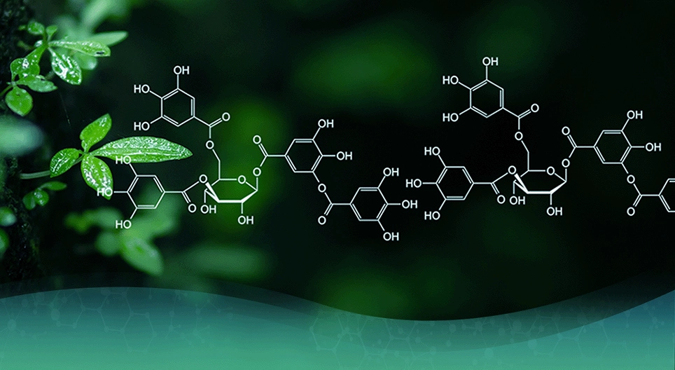 De ontwikkeling van de organische chemie