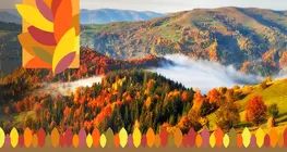 Der Herbst