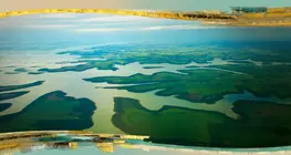 Der Amazonas