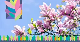 Der Frühling