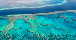 Das Great Barrier Reef
