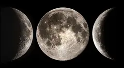 Il compagno celeste della Terra