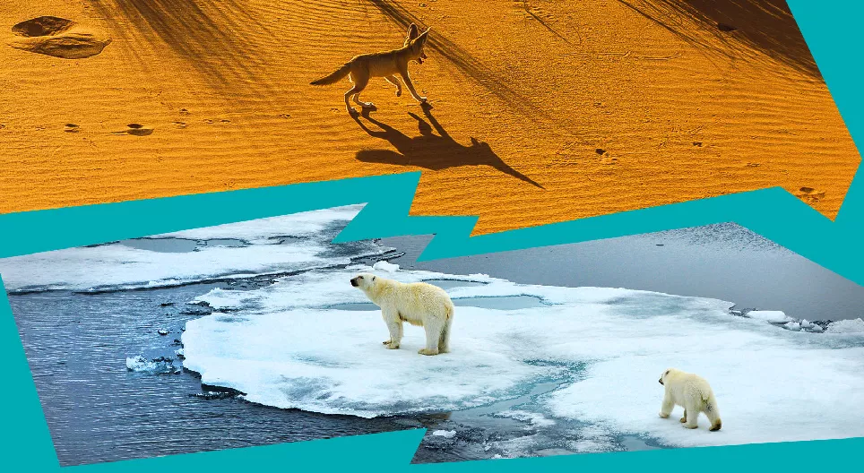 Waarom zijn er woestijnen en ijsvlaktes op aarde?