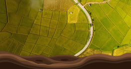 The past and present of crop rotation