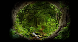 Au fond de la jungle