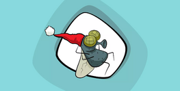 Où les mouches domestiques vont-elles en hiver&nbsp;?