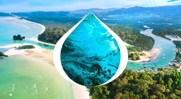 Parcours depuis la source jusqu'à l'embouchure