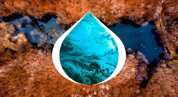 Le développement des lacs