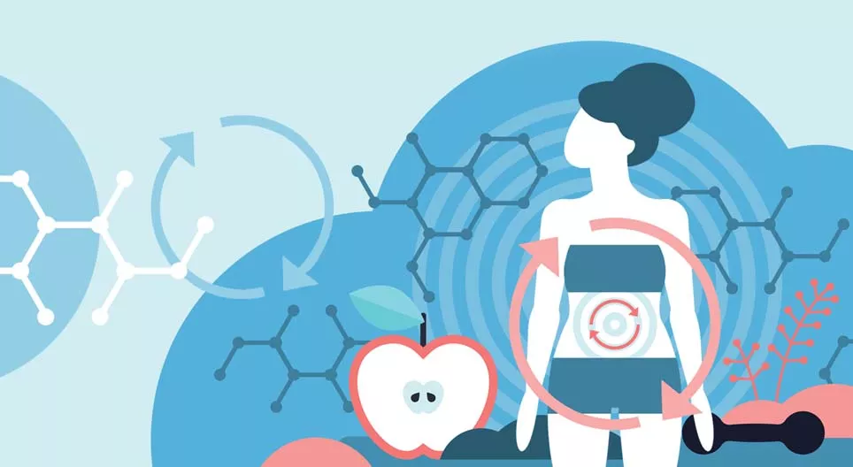 Wat is metabolisme?
