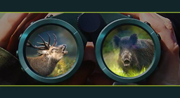 Les bêtes de la forêt