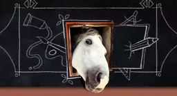 La rappresentazione degli animali nell'arte