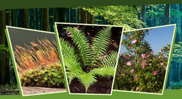 Dans la lumière et dans l'ombre