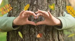 Ecosistema forestale