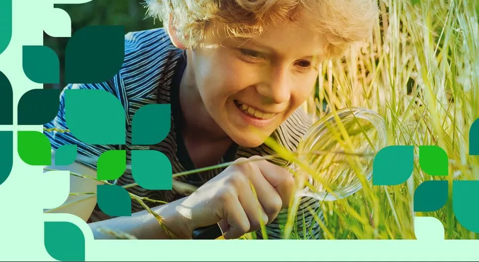 De flora en fauna van vlaktes