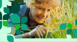 Die Pflanzen und Tiere des Flachlands