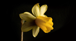 Les secrets de l'univers en expansion