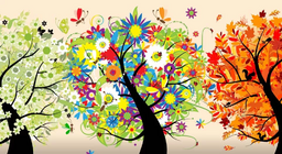 Que sont les saisons ?