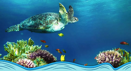 Introduction to the world of oceans