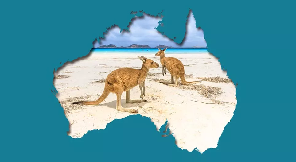 Milieuproblemen in het land van de kangoeroes