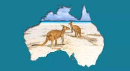 Problèmes environnementaux au pays des kangourous