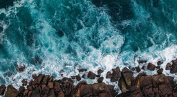 Quels types de mouvements caractérisent l'océan mondial ?