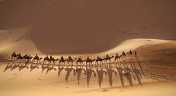 Rejoignez la caravane !