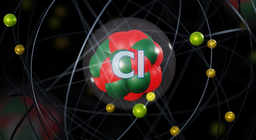 La propreté avant tout