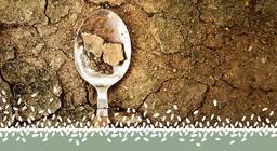 Crise alimentaire mondiale