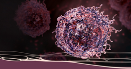 Le diagnostic dont tout le monde a peut&nbsp;: le cancer