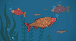 Les poissons boivent-ils&nbsp;?