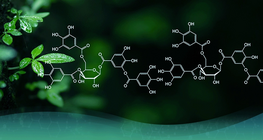 Le développement de la chimique organique