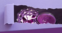 Créons un indicateur à partir du chou rouge