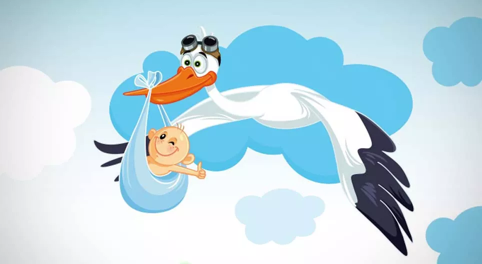 Worden baby’s door de ooievaar gebracht, of …?