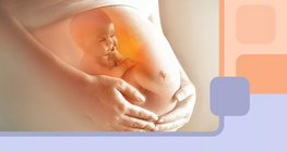 Qu'arrive-t-il au corps de la femme pendant la grossesse ?