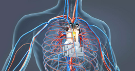 Le moteur du corps humain
