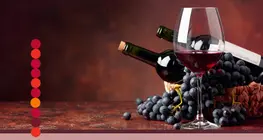Come si trasforma l'uva in vino?