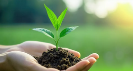 Where does life begin?