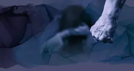 Relazioni violente