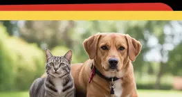 Tiere im Alltag