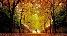 Autunno