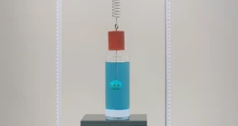 Oscillation damped by drag
