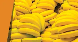 Blaue Banane