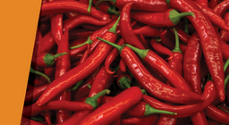 Gleiches zieht Gleiches an