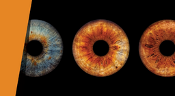 Faites un zoom avant