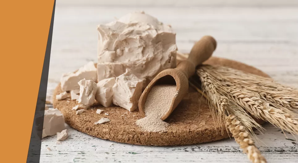 Ballon opblazen met gist